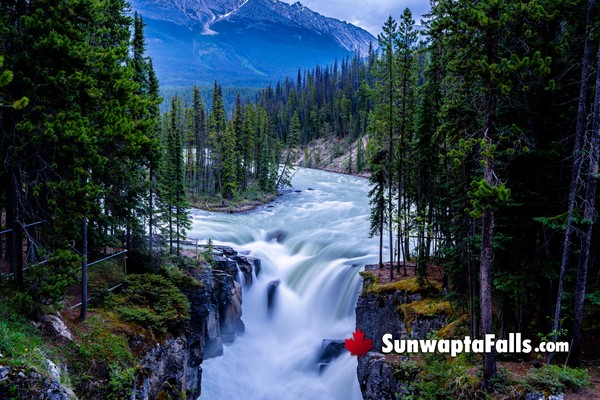 Sunwapta Falls in September